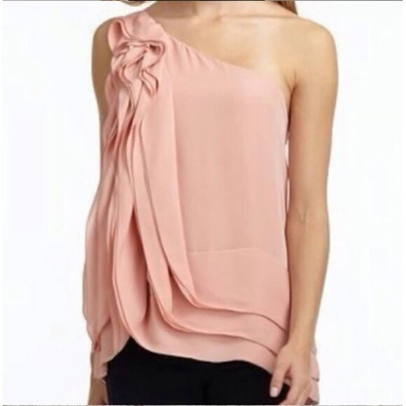 BCBGMaxAzria Blush Pink One Shoulder 100% Silk Ruffle Blouse Top Size S - Picture 2 of 15